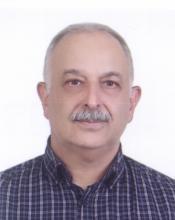 Prof. Arjomand Mehrabani-Zeinabad