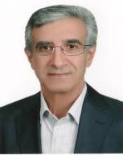 Professor Mehdi Amirnasr