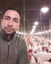 مجتبی دلوی اصفهانی / Mojtaba Dalvi