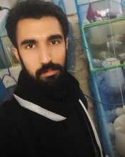 محمد درانی/ Mohammad Dorani