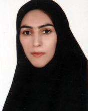 Fereshteh Hamidi Dastjerdi