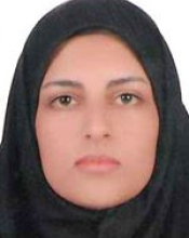 Solmaz Karimpour
