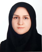 Somayeh Kadkhodaei