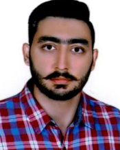 Ali Tatari