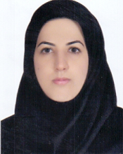 فائزه فولادگر 