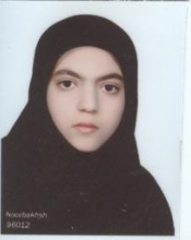 مائده ستايش نسب 