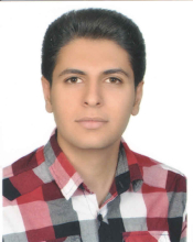 رضا لطفی