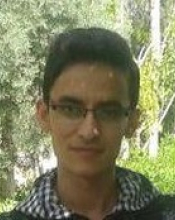 Esmaeil Golnari (Sept. 2016 - Present)