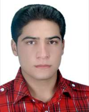 Hamid Hayati-Zadeh (Sep. 2013 - Sep. 2014)