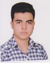 Ebrahim Setareh (Jan.2013 - Sept. 2013)