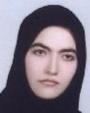 پریسا قمشی بزرگ