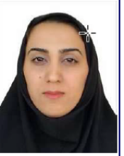 nilofar ghasemi