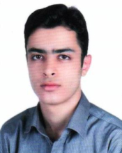 Hosseini S. A. 