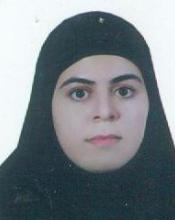 Shirmehenji F.