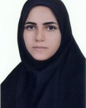 Soltani A.