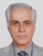 Prof. Badraldin Ebrahim Sayed-Tabatabaei