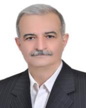 Dr. Masoud Cheraghi Seifabad 