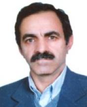 Dr.Mahmoud Feiz