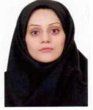 Dr. Fatemeh Paykan Heyrati