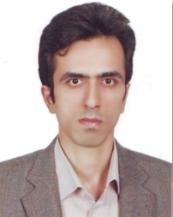 Dr Mehdi Iranpoor