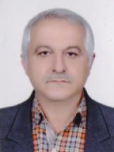 Dr. Sayed Nader Shetab Boushehri