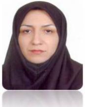 Dr.Haleh Khalili