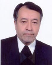 Dr. Sayed Majid Mortazavi