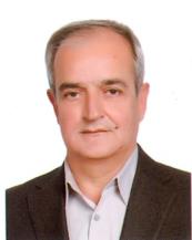 Professor Masoud Bahar