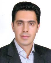Dr. Reza Mazrooei-Sebdani
