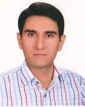 Prof. Mohammad Dinari