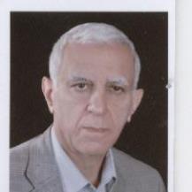 Bijan Najafi
