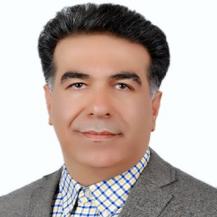 Mohammad Reza Toroghinejad