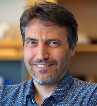  Prof. Alireza Baghbanan