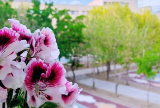 Nowruz 1401