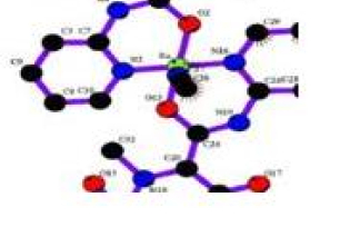 (A) Molecular docking perspective of the Ru (II) complex with the major groove side of DNA using MVD. The complex depicted in a stick model, and DNA, represented in a wireframe model, (B) two-dimensional interactions generated by LIGPLOT.