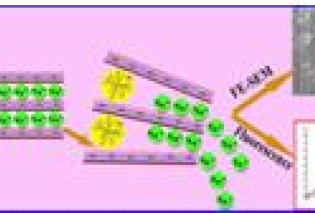 Ln complexes in Cloisite Na+