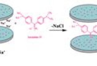 Spatial array of Auramine O in Cloisite Na+