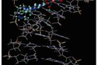 The structure of trans-[Cu(cip)2(OH)2] and DNA optimized considering charged embedding of MM part in QM part in the gas phase.