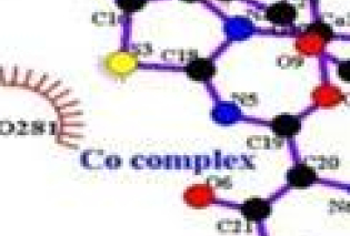 (A) The docked trans-[Co(Mel)2(EtOH)2] complex in the binding pocket of BSA using MVD. The complex is depicted in a stick model, with BSA represented in a wireframe model; (B) two-dimensional interactions generated by LIGPLOT+.