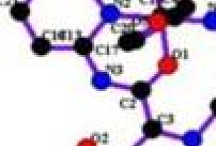 (A) (A)tA molecular docking perspective of trans-[Cu(Pir)2(THF)2] with the major groove of DNA using UCSF Chimera. The complex is depicted in a stick model, and DNA is represented in a wireframe model; (B) two-dimensional interactions generated byLIGPLOT+