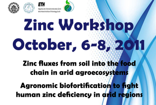 Zinc Workshop: 2011- IUT, Isfahan, Iran