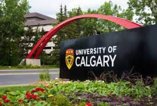 Visiting Scientist, University of Calgary, summer 2019