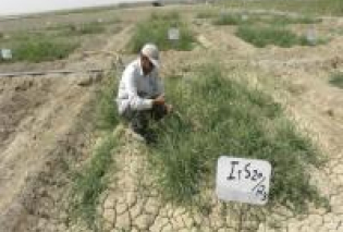 تجربیات