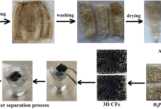 Novel 3D carbon fibers derived from Luffa wastes for oil/water separation