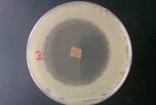 Nanopartiles Antibacterial properties