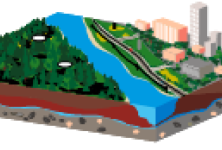 سوابق تدریس