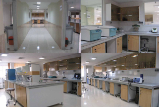 Research Institute for Biotechnology and Bioengineering 's Laboratories