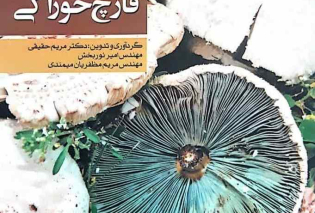 Disorders pests and diseases of mushroom