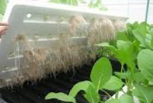رابطه آب خاک و گياه