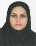 Marzieh Sohrabi (Supervisor)